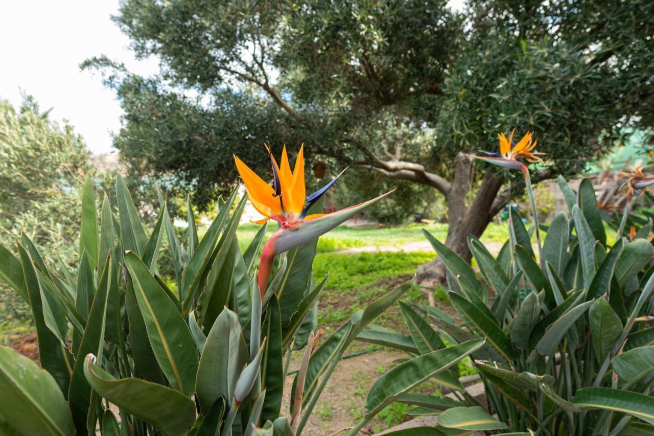 Villa Aldeasol à San Nicolás Extérieur photo